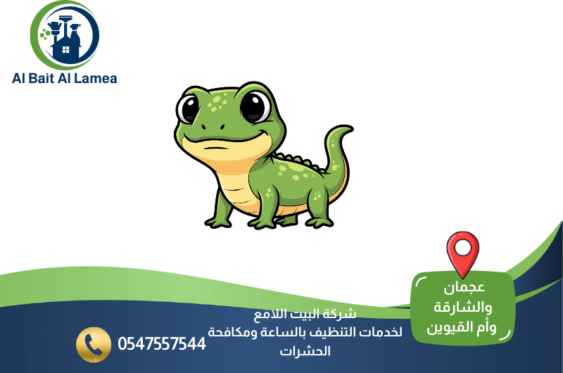 شركة مكافحة البرص في الشارقة