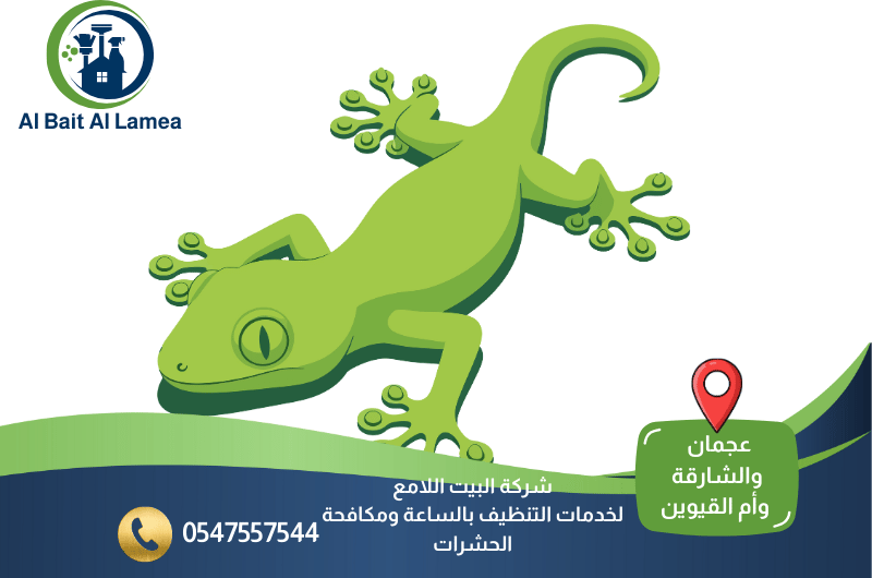 شركة مكافحة البرص في الشارقة