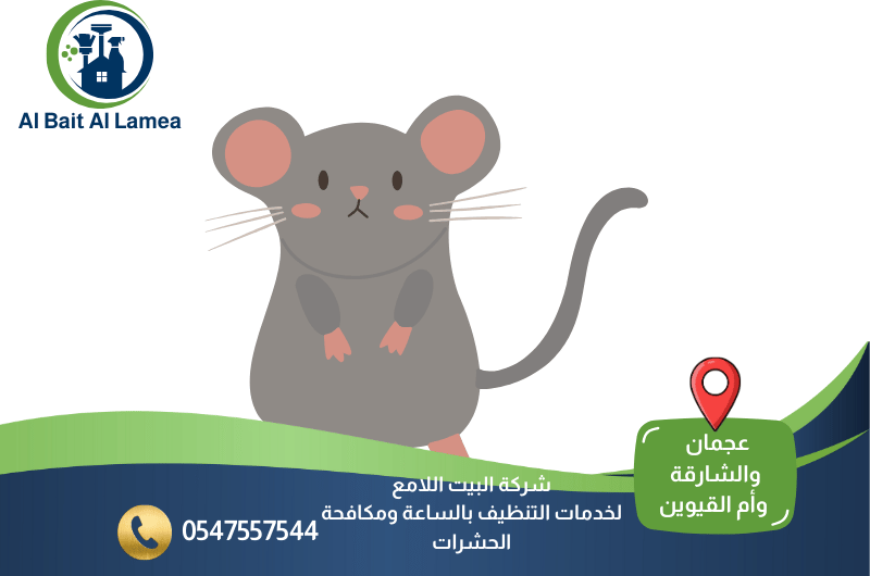 شركة مكافحة الفئران في الشارقة