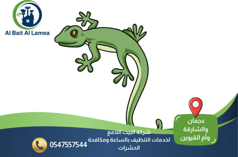 شركة مكافحة البرص في الشارقة